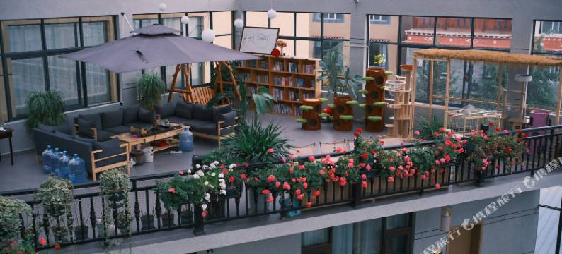 花语·猫咖供氧设计师民宿(香格里拉独克宗古城店)图片