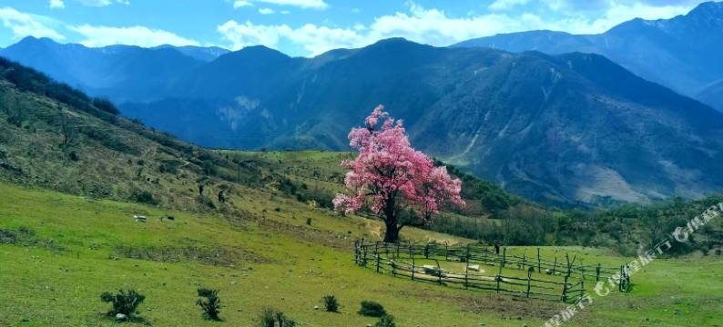 石棉孟获安澜居客栈图片