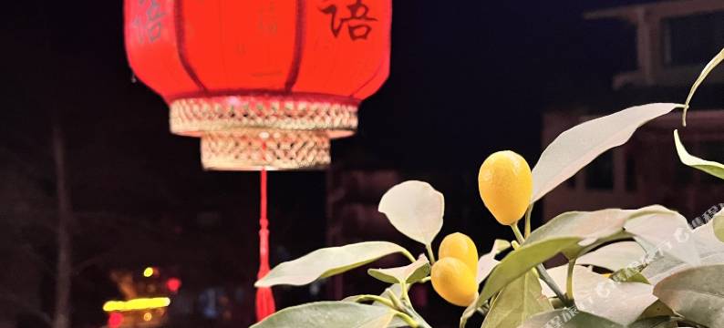 雅安空山鸟语民宿(上里古镇店)图片