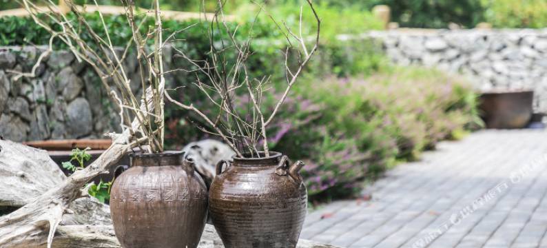 泰宁读隅山居・伴山禅隐 Villa 美墅(李家岩禅寺店)图片