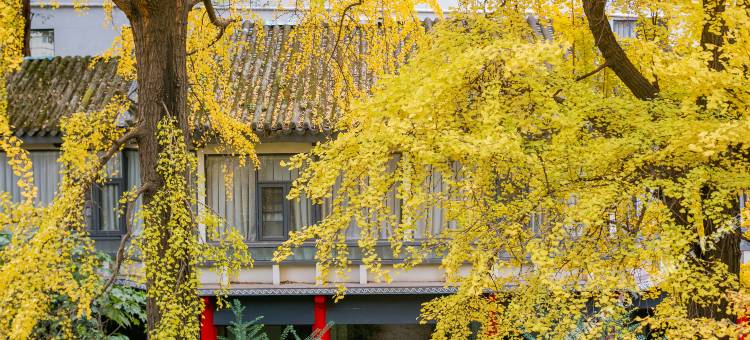 西姆善居成都春熙路天府广场地铁站酒店图片