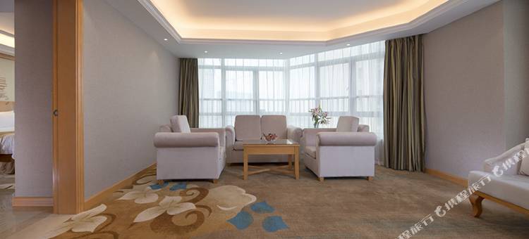 维也纳国际酒店(中山东凤大信新都汇店)图片