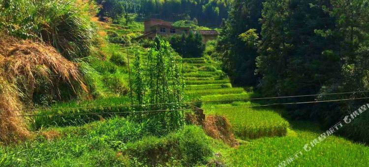桂东湘湖避暑山庄图片