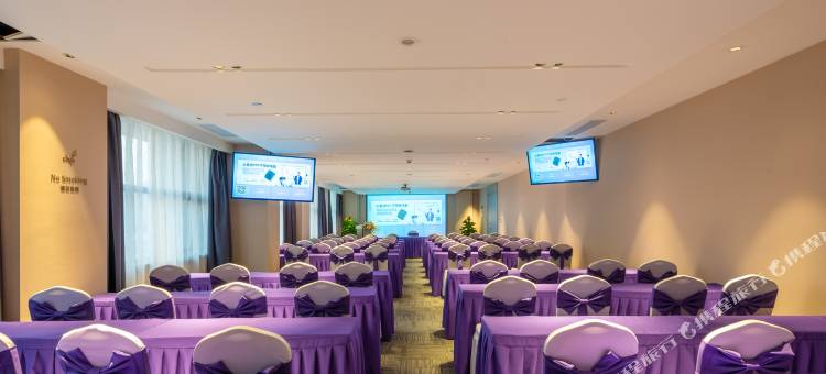 麗枫酒店(佛山祖庙镇安地铁站店)图片