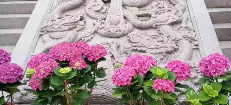 普陀山客栈图片