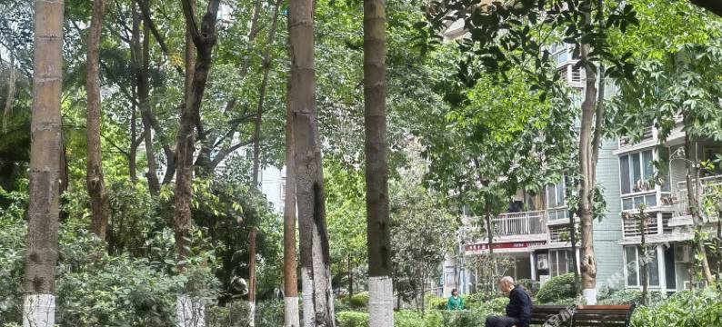 尔亭·金沙公寓(肿瘤医院店)图片