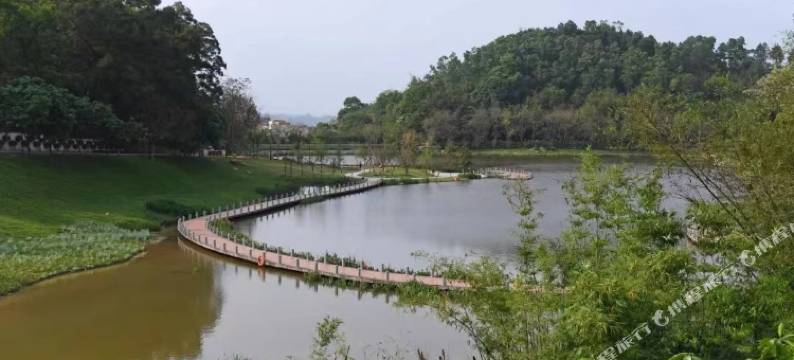 新兴禅域小镇聚智居设计师民宿图片