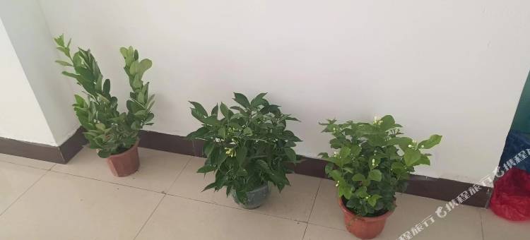 新景公寓图片