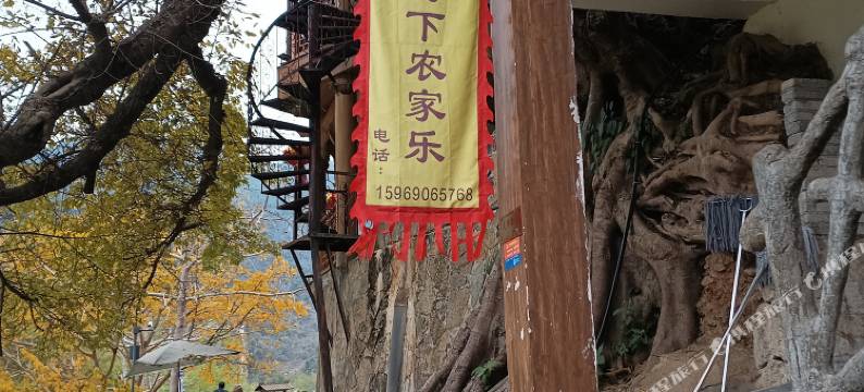 广南大榕树下民宿图片