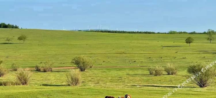 塞罕坝满艺民宿图片