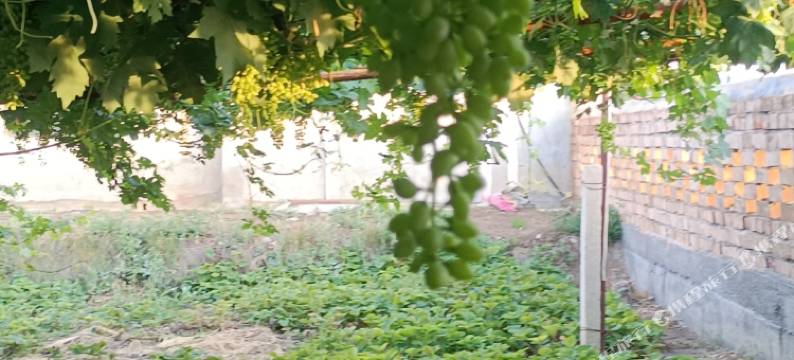 依田·朴宿民宿(月亮地村店)图片