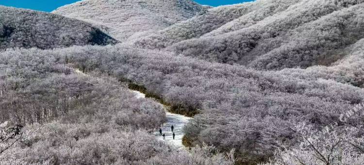 蜜蜂农家民宿图片