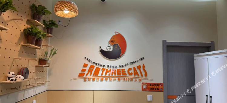 三只猫青年旅社(华熙LIVE·528店)图片