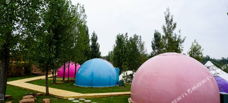 伏羲山星空营地(云上牧场店)图片
