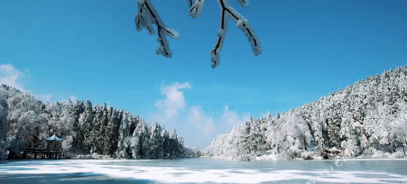 余姚四明山庄森林度假村图片