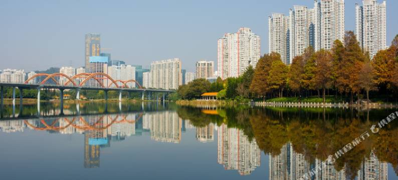 深圳华琪酒店(水贝珠宝城 KK TIME 购物中心店)图片