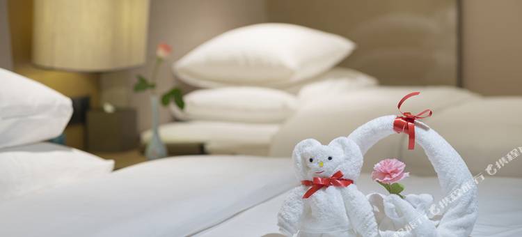 六安新锦成开元名都酒店图片