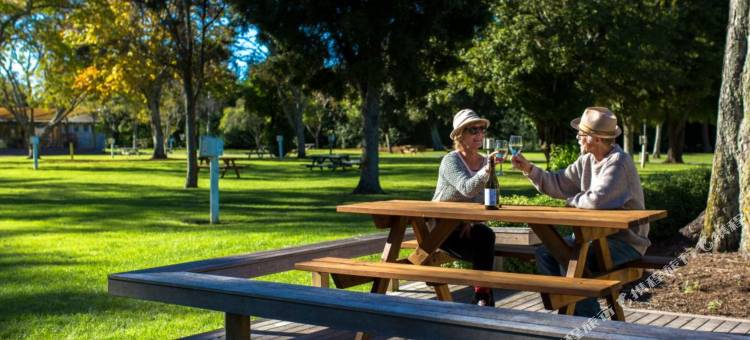 摩图伊卡十大假日公园酒店(Motueka Top 10 Holiday Park)图片