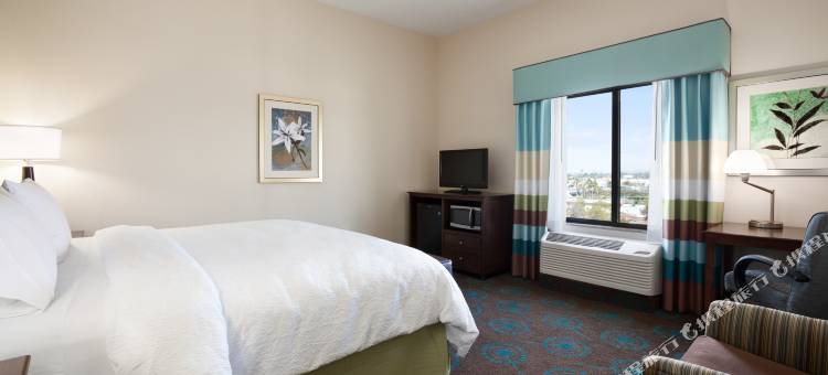 希尔顿欢朋酒店-洛杉矶国际机场霍索恩(Hampton Inn Los Angeles Int'l Airport/Hawthorne)图片