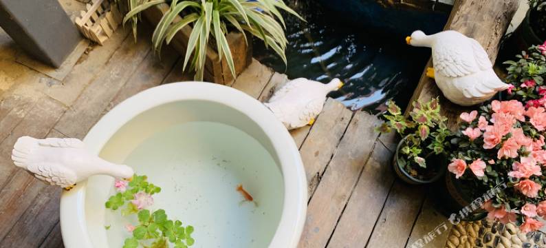 景洪春曼国际青年旅舍图片