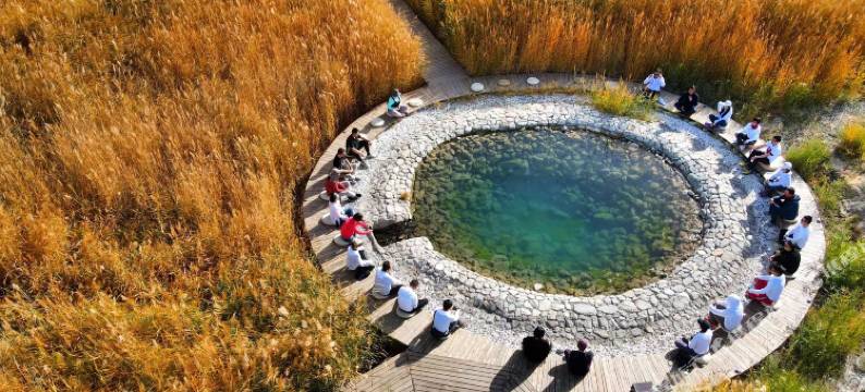 戈壁清泉酒店图片