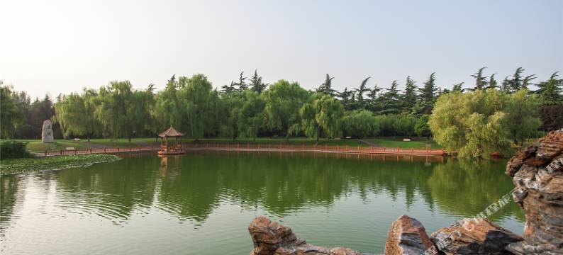 三门峡大鹏酒店(天鹅湖店)图片