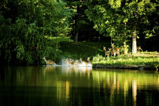 北京在之禾酒店图片