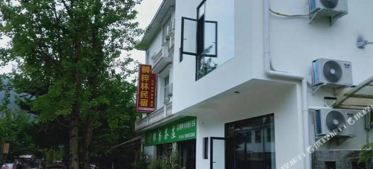 绵竹桐梓林民宿图片