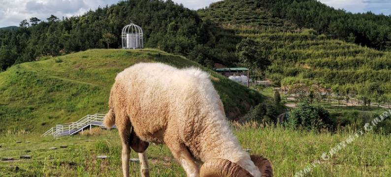 屏南半日闲民宿图片
