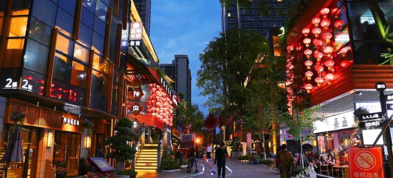 思莯度假酒店(成都火车站店)图片