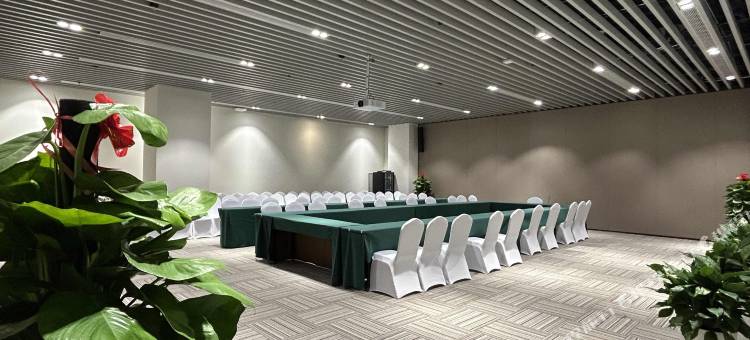 济南国博城绿地铂派酒店图片