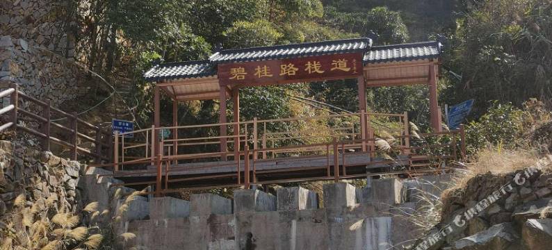 竹林小院图片