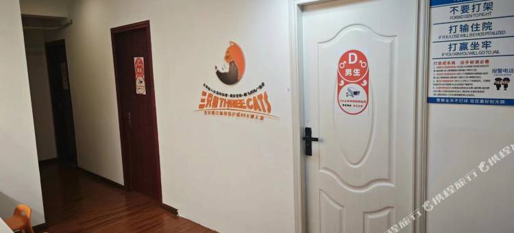 三只猫民宿(雄飞北尚广场店)图片