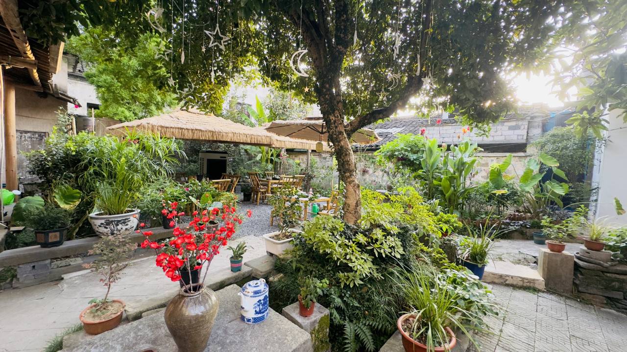 西递履福堂花园民宿