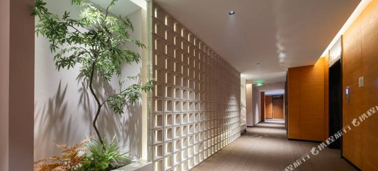 乐桔酒店(郑州二七广场丹尼斯大卫城店)图片