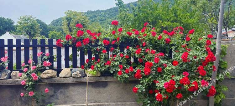 花筑·泰山橡薇民宿(红门登山口店)图片