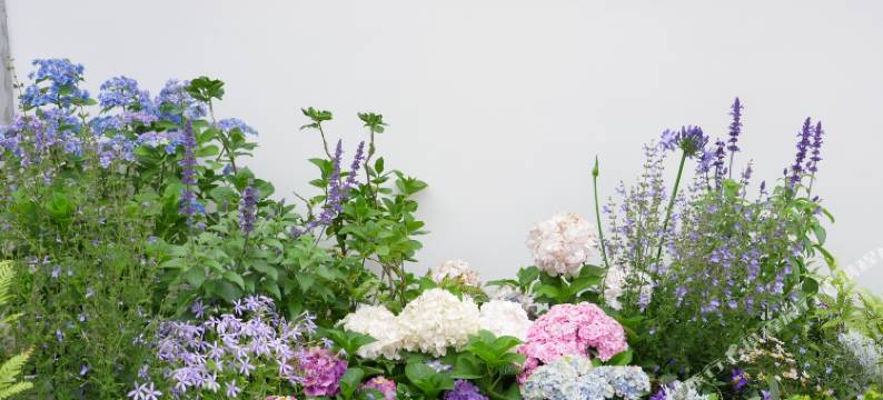 栀几小院私汤民宿图片