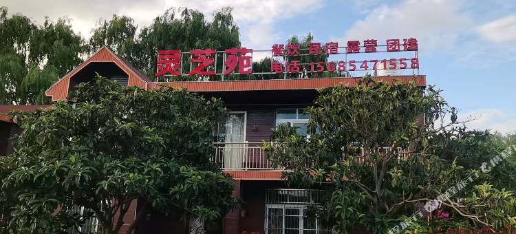 毕节灵芝苑餐饮民宿图片