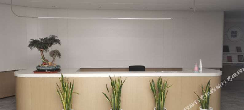 骑猪去嗨皮民宿(碧桂园城市之光店)图片