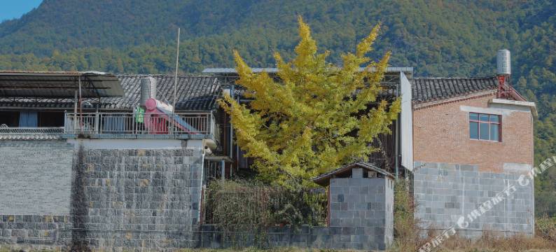 腾冲科菊农家乐图片