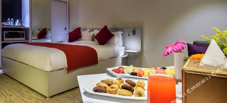 利雅得迪叶诺富特全套房酒店(Novotel Suites Riyadh Centre)图片