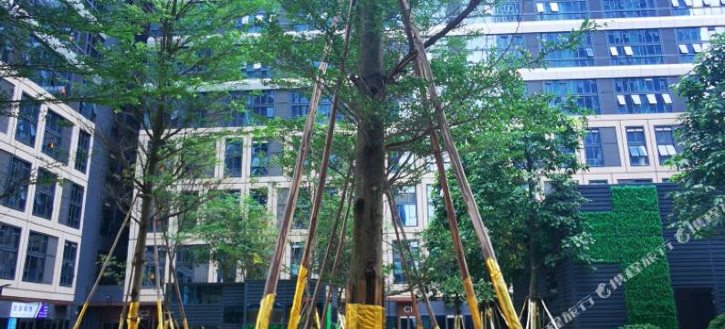 勤寓连锁·阳光公寓(广西体育中心店)图片