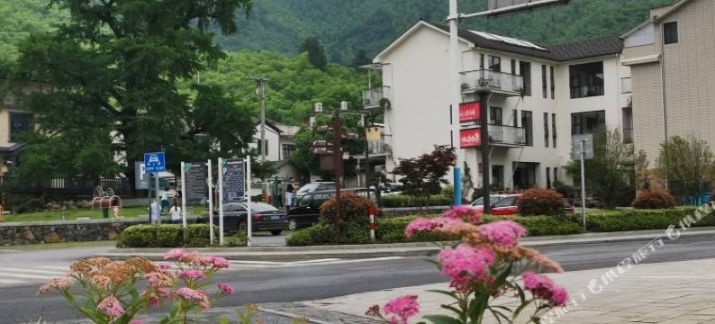 安吉青之恋舍民宿图片