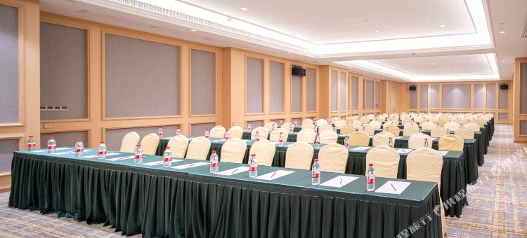 维也纳酒店(平南大安永发名城店)图片