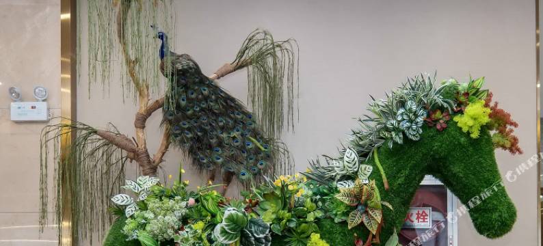 祁门阊江源酒店图片