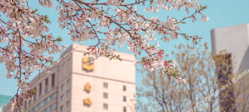 武汉香格里拉大酒店图片