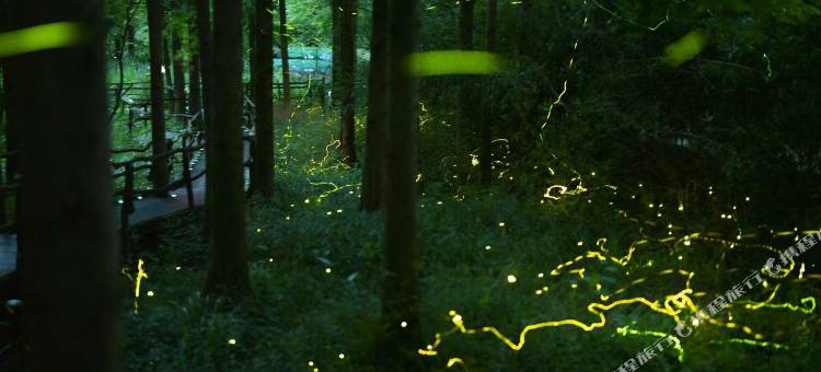 在村上·莫干山温泉度假民宿(萤火虫基地店)图片