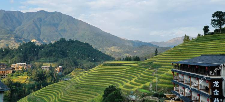 龙金苑伴山度假民宿(龙脊梯田千层天梯观景台店)图片