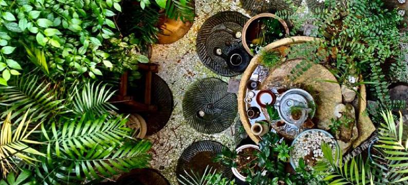 凤凰三昧禅居民宿图片