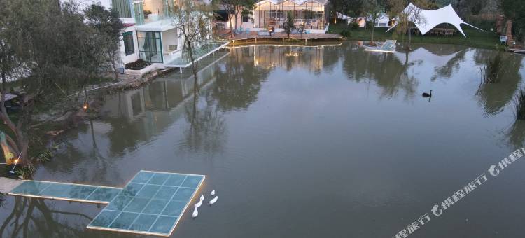 昆明宜良庐也天鹅湖度假营地图片